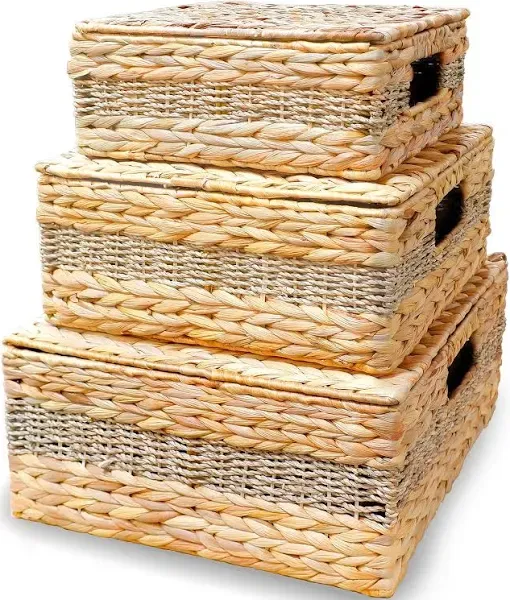 Set of 3 Rectangular Seagrass Baskets with Lids by Trademark Innovations (As Is Item) - Bed Bath & Beyond - 28890160