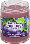 Smoke Odor Exterminator: Smoke Odor Candle (13oz) - Mojo Smoke Palaces 🐒