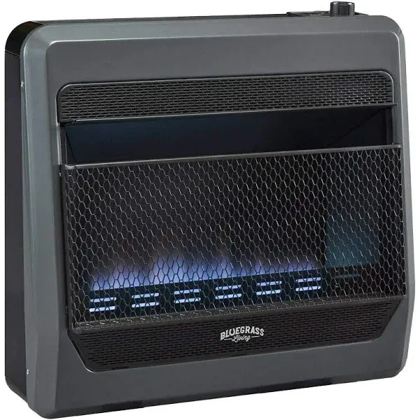 B30TPB-BB Ventless Propane Gas Blue Flame Space Heater with Thermostat Contro...