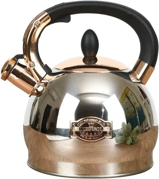 Stainless Steel Whistling Tea Kettle with Metal Capsulated Bottom for Quick Heat Distribution