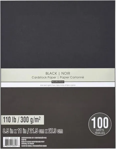 Recollections Heavyweight Cardstock Paper