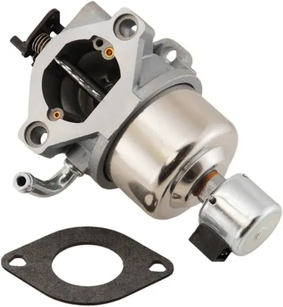 Briggs & Stratton Carburetor 594601