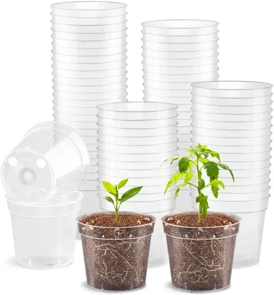 RooTrimmer 2.5" Clear Seeding Pots 100-Pack