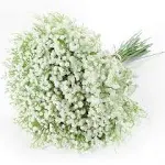 Artificial Baby Breath Gypsophila Flowers Bouquets 15 pcs Real Touch Flowers for Wedding Party DIY Wreath Floral Arrangement Home Decoration (White)