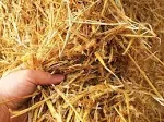 Out Grow 1 Cubic Foot of 100% Natural and Organic Wheat Straw 4#