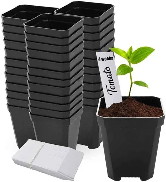 48 pcs Plastic Nursery Pot for Plants 2.75&#034; Square x 3.25&#034; Seed Starting/Tran.<wbr/>..