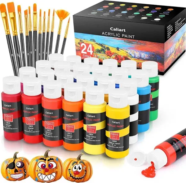 Acrylic Paint Set with 12 Brushes, 24 Colors (59Ml, 2Oz) Art Craft Paints Gifts 