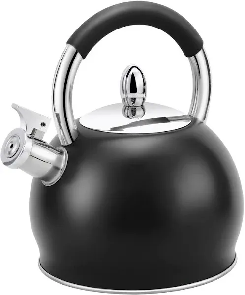 Whistling Tea Kettle for Stove Top Stainless Steel Tea Pot with Ergonomic Silico