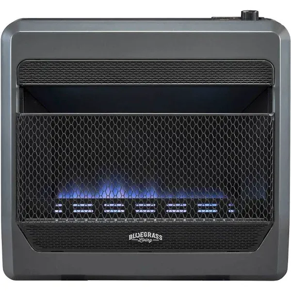 Bluegrass Living Natural Gas Vent Free Blue Flame Gas Space Heater