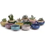 T4U 2.5 Inch Small Ceramic Succulent Planter Pot with Drainage Hole Set of 12, Ice Crack Glaze Porcelain Handicraft Plant Container Gift for Mom Sister Aunt Best for Home Office Desk Decoration