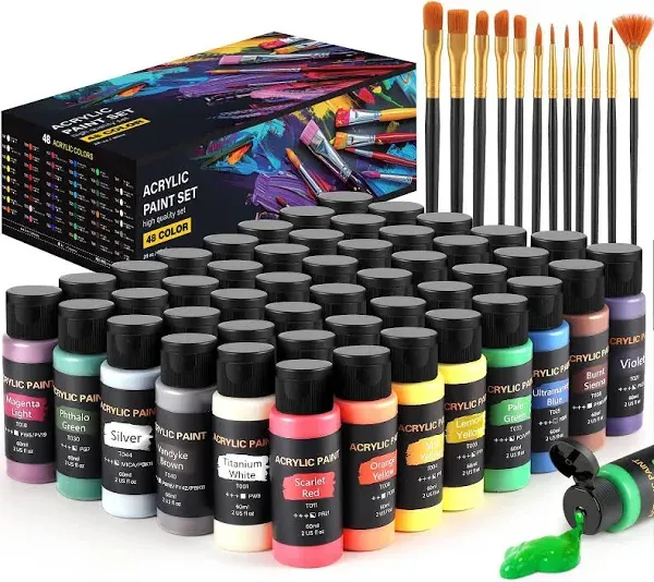 Acrylic Paint Set 48 Colors 2 Oz/bottle With 12 Art Brushes Art Supplies For P