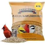 Armstrong Wild Bird Food Black Oil Sunflower Chips, 20 Pounds - for Northern Cardinals, American Goldfinches and Black-Capped Chickadees - Ideal for Outside Feeders