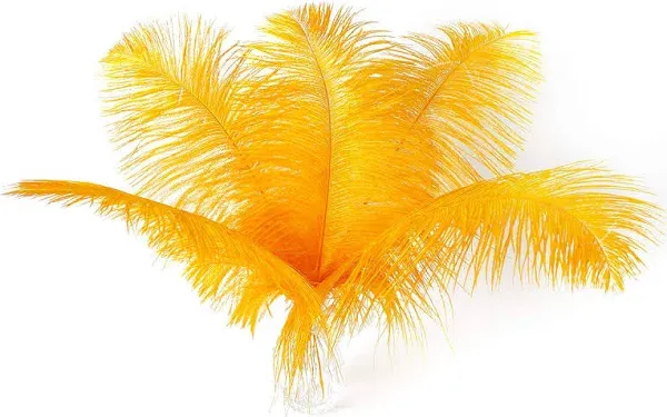 24pcs Natural Luxury Gold Ostrich Feathers for Wedding Party Centerpieces Flower Arrangement Home Decoration