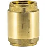 EZ-FLO Brass In-Line Check Valve, 1 Inch IPS, Stainless Steel Spring, 20405LF