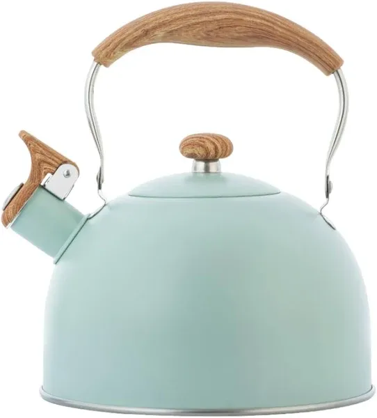 Stainless Steel Whistling Tea Kettle - Stainless Steel Teapot, Tea Kettle 