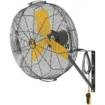 Big Ass Fans AirEye 24" Wall Mount Fan