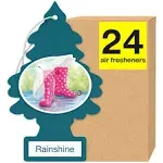 Little Trees Car Air Freshener 24-Pack (Rainshine)