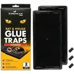 Kingman Prime Mouse Trap Rat Trap Glue Trapboard Large Size 6 Pack 12 Traps Rodent Trap Safe Easy Nontoxic