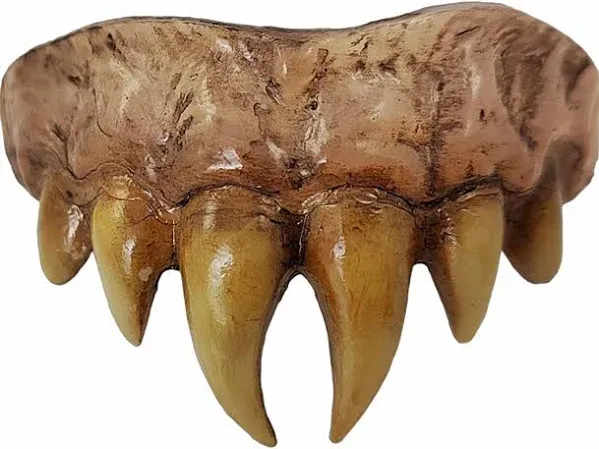 Trick or Treat Studios Bitemares Horror Teeth