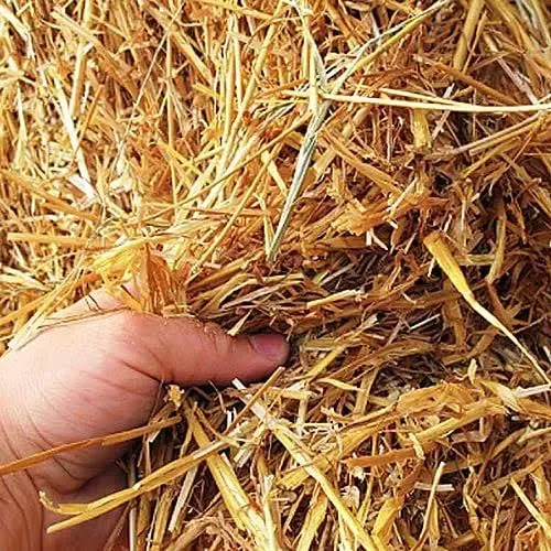 Bountiful Harvests with Out-Grow's Natural Wheat Straw