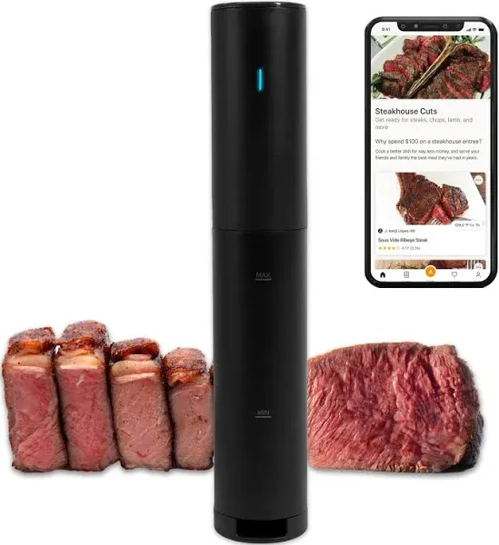 Anova Precision Mini Sous Vide Cooker