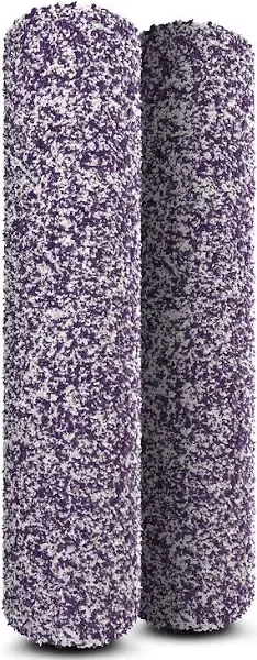 Shark WDB2 2-Pack Antimicrobial Sealed Hard Floors and Area Rugs, Replacement Brushrolls Hydrovac 3-in-1 Multi-Surface Cleaners, Purple