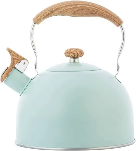 Stainless Steel Whistling Tea Kettle