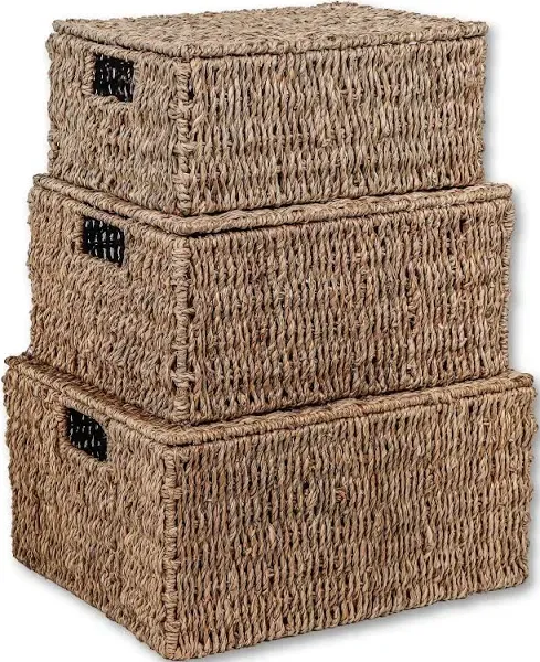 Trademark Innovations Rectangular Seagrass Baskets with Lids (Set of 3)