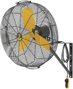 Big Ass Fans AirEye 24-inch Wall Mount Fan