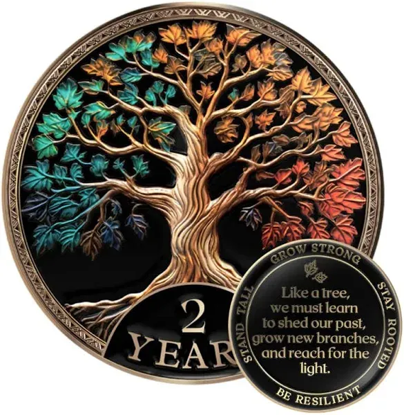 Affirmation Sobriety Coin Gift Set | Tree of Life AA Chip Medallion with Token Capsule, Stand & Card | Sobriety Gifts for Anniversary Month & Year for Men & Women in Recovery (2 Years)