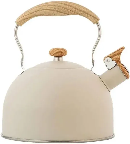 Stainless Steel Whistling Tea Kettle