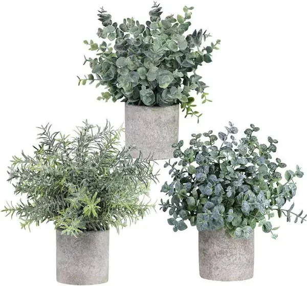 Artificial Eucalyptus Plants