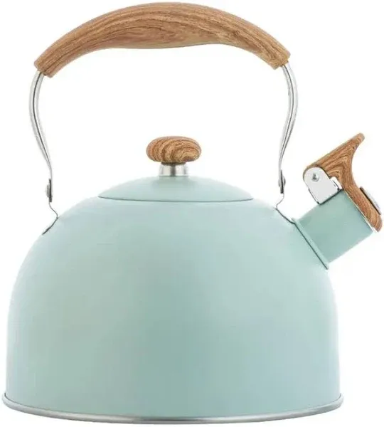 Stainless Steel Whistling Tea Kettle