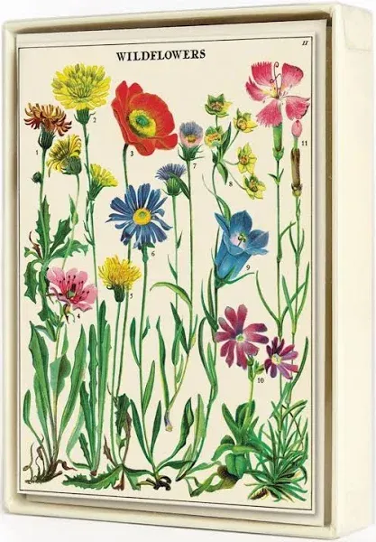 Cavallini & Co. Wildflowers Boxed Notecards