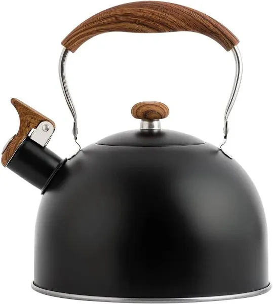 Stainless Steel Whistling Tea Kettle