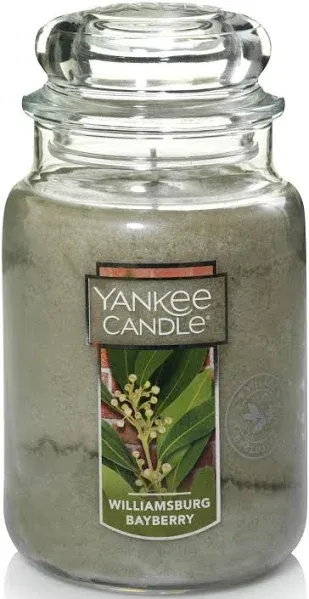 Yankee Candle Williamsburg Bayberry Large Jar Candle