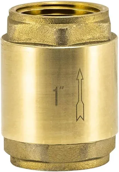 EZ-FLO In-Line Check Valve 20405LF