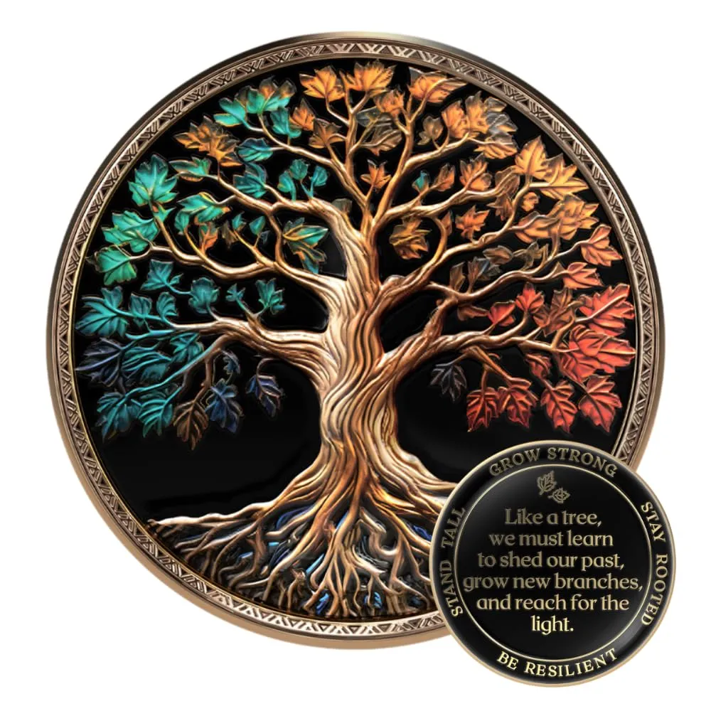 MilestoneMint Affirmation Sobriety Coin Gift Set