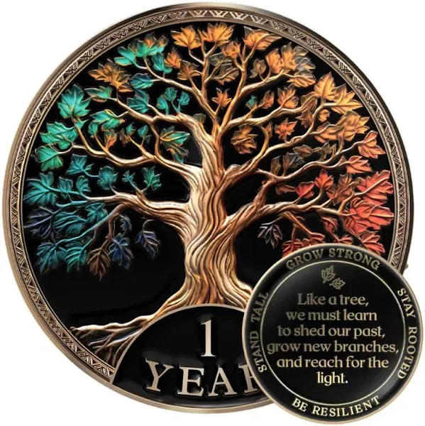 MilestoneMint Affirmation Sobriety Coin Gift Set