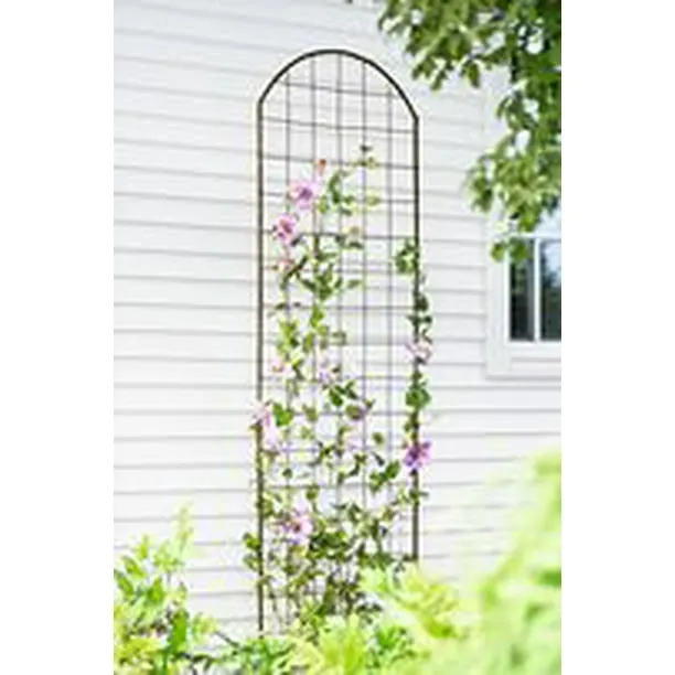 Gardener's Supply Company Jardin Flower Trellis - 7 Feet Tall