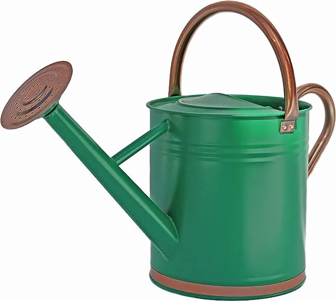 Gardener Select Blue Watering Can