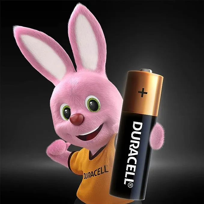 AA Duracell Coppertop Alkaline Batteries