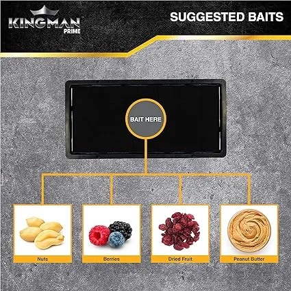 Kingman Prime Rat Mouse Rodent Pest Glue Trap (Large Size) Tray Heavy Duty (24 Traps) with Connectors