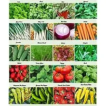 Set of 20 Assorted Organic Vegetable Seeds & Herb Seeds 20 Varieties Create a Deluxe Garden All Seeds are Heirloom, 100% Non-GMO Lettuce Seeds, Sweet & Hot Pepper Seeds, Green Onion Seeds