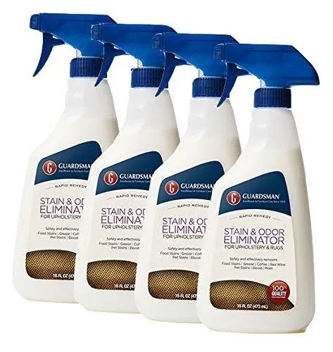 Guardsman Stain & Odor Eliminator