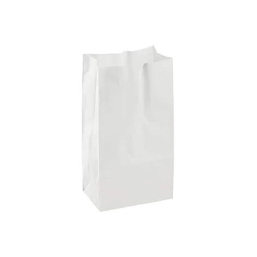 500ct. White Paper Lunch Bags