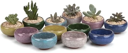 T4U 2.5 inch Ceramic Ice Crack Zisha Serial Succulent Plant Pot Cactus Plant Pot