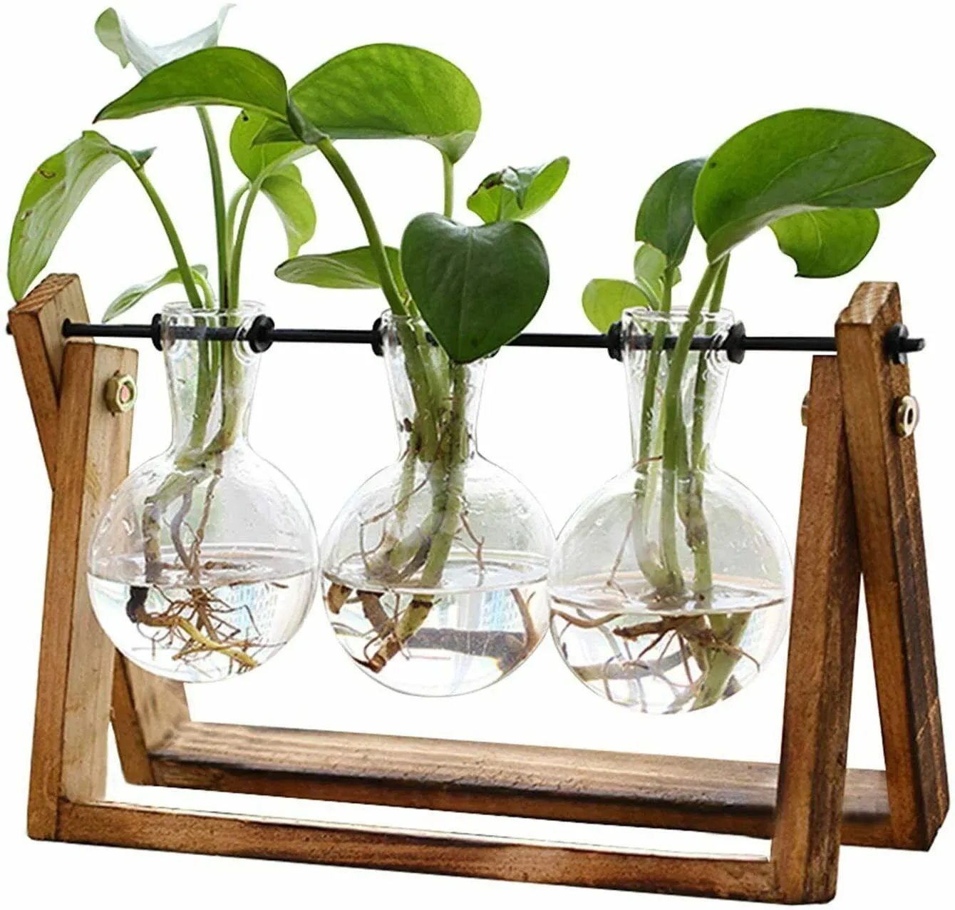 Xxxflower Plant Terrarium with Wooden Stand, Air Planter Bulb Glass Vase Metal Swivel Holder Retro Tabletop for Hydroponics Home Garden Office