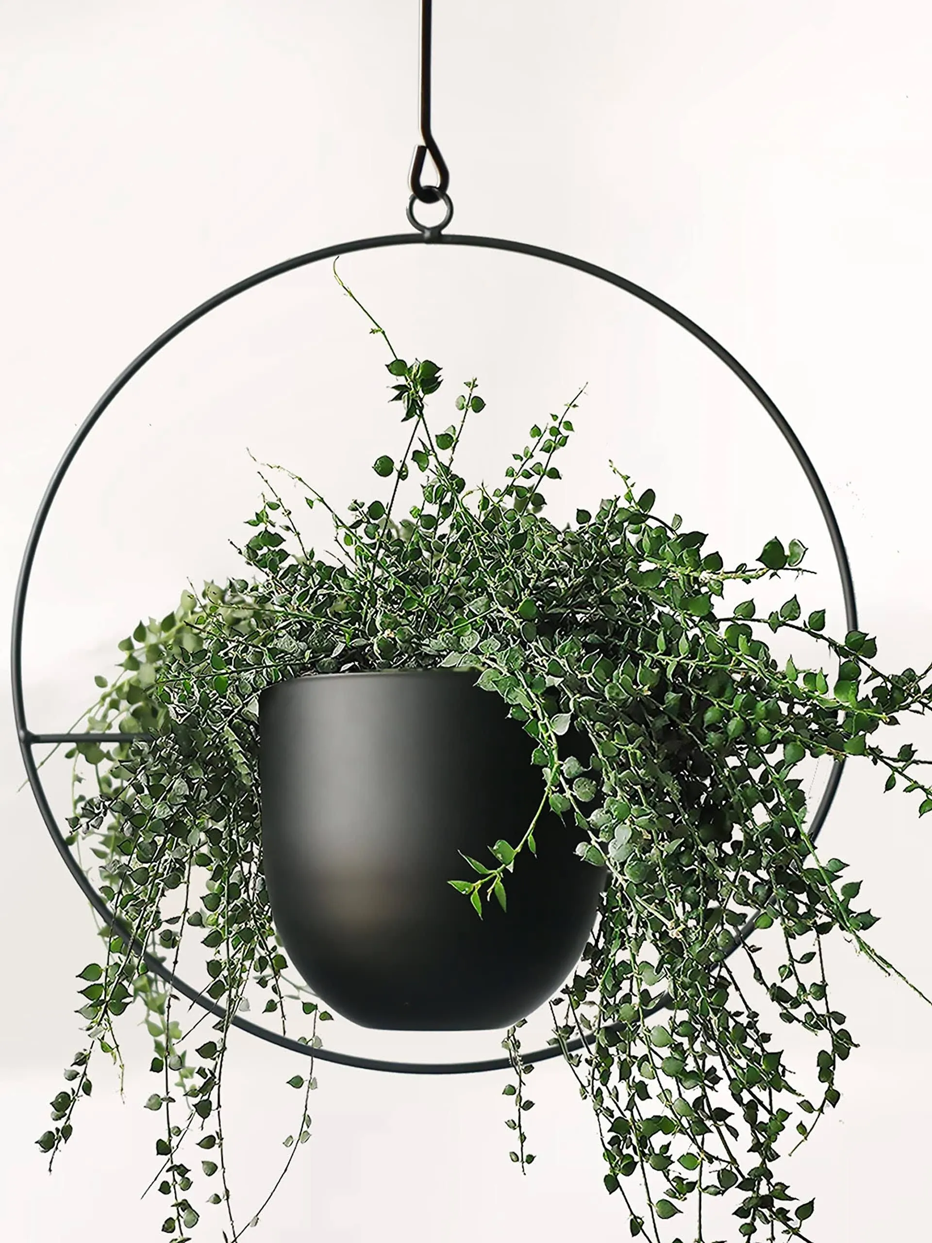 ABETREE Hanging Planter for Indoor Plants Metal Mid Century Minimalist Wall and Ceiling Hanging Plant Pot Holder for Home Décor