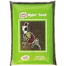 Valley Farms Nyjer Seed Wild Bird Food